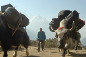 エベレスト登山には欠かせない少数民族「シェルパ族」が凄い！