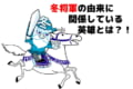 冬将軍ってどんな意味?由来を調べたらなんとナポレオンが関係していた!