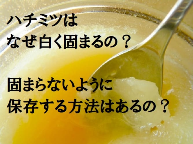 ハチミツはなんで白く固まるの？固まらないように保存する方法はあるの？