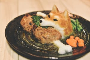 柴犬が骨付き肉をがぶり！キュートなおろしハンバーグに反響「可愛くて食べられない」