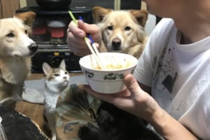 鶏うどんを食べている時の圧力がハンパないと話題に！「自分だけおいしいものを食べるんだね」