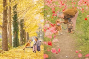 「目頭が熱くなり、心が温かくなりました」祖母と柴犬の優しさ溢れる写真に多くの反響