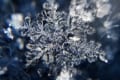 スマホを使って手軽に雪の結晶を撮影する方法が話題に!「こんなに綺麗に撮れるんですね」