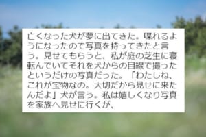亡くなった愛犬が夢に・・きっと見守ってくれていると感じるエピソードに感動の声「涙がとまりません」