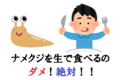 ナメクジを食べると・・・最悪のケースもあるので絶対に生で食べないで!!