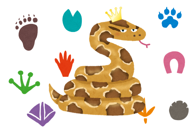 snake