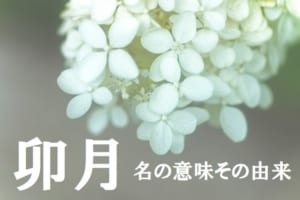 旧暦で4月を意味する「卯月（うづき）」、その由来は十二支の「卯」とはまた別物なんです！！