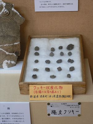 出土された縄文クッキー