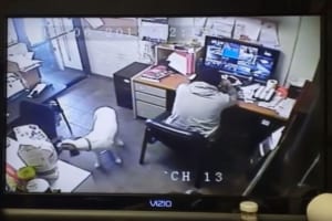 飼い主が大好きなんだワン！自ら椅子を動かして隣に座るワンコの姿に胸キュン