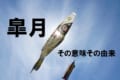 旧暦で5月を意味する「皐月(さつき)」、その由来は5月に行われてきた作業から!