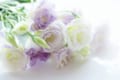 トルコキキョウの花言葉は?実はトルコ原産でもキキョウでもない!