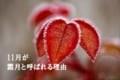 旧暦で11月を意味する「霜月」、由来には「収穫への感謝」という説も