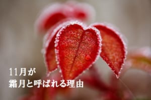 旧暦で11月を意味する「霜月」、由来には「収穫への感謝」という説も