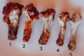 あなたは何番ですか?「骨付きチキンの肉をどれくらい食べるか」を問うツイートが話題に!