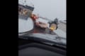 ドライブスルーで前の車に駆け寄る男。渋滞の言いがかりでもつけにいったのかと思いきや・・・、その時とった行動に称賛の声