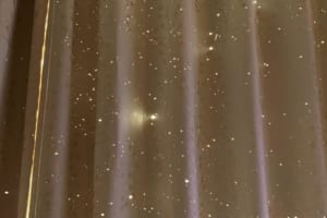 満天の星空の様な遮光カーテン・・かと思ったら、ニャンとも可愛らしいデザイナーの仕業だった！