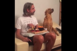 美味しそうだワン！凝視とそっぽを向くことを繰り返すコントのようなやりとりに爆笑