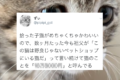 拾った子猫がめちゃくちゃ可愛いからと、祖父が付けたあだ名が斬新すぎる（笑）