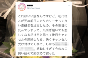 お店の対応に感動！愛猫が亡くなった後、カリカリーナの注文をキャンセルしたら･･･