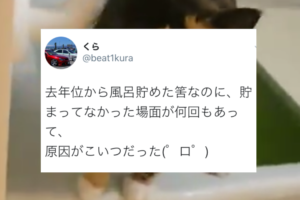 お風呂を貯めたはずだったのに、貯まっていない！？その原因は・・・この子のイタズラした！！