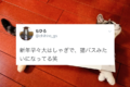 新年早々大はしゃぎした結果・・・ネコバスみたいになってしまったニャンコ(笑)