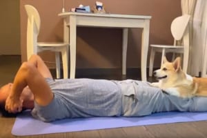 ご主人様頑張って！パーソナルトレーナー気分のワンちゃん、これは筋トレもはかどりそう！