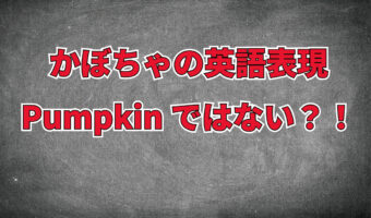 かぼちゃを英語で「パンプキン(pumpkin)」というのは間違い!?かぼちゃの種類と名前の由来などを解説