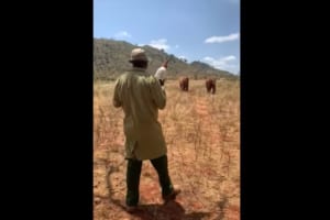 大きな容器を手に持った男性に向かってくるゾウたち･･･その後の展開にめちゃめちゃ癒される！