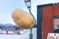 「どうしても雑なコラ画像に見える」男爵いもをモチーフにしたユニークなオブジェが話題に!