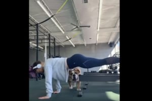 トレーニング中だっておかまいなしだワン！飼い主に密着するワンコが画的にも凄いことに（笑）