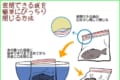 みなさん知ってましたか?ジップバッグを簡単にぴっちり閉じる方法