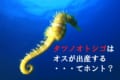 「タツノオトシゴ」はオスが出産するって本当？不思議な魚の生態をご紹介！！