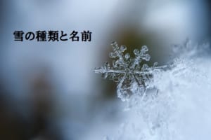 降る時期や質感で名前が変わる「雪」。それぞれ状態による名前や別名など、たくさんあります！！