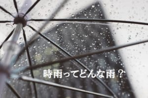 「時雨」とはどんな雨？どのような意味が込められている名前なの？