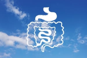 五臓六腑って何だろう？体の中のどの部分を指すか知ってる？