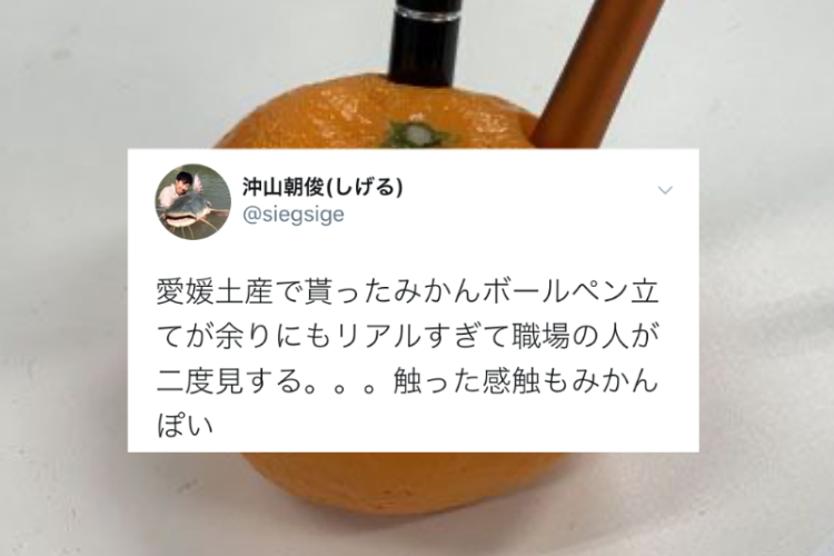 ペンぶっ刺してる！？職場で二度見された見た目も感触も超リアルな「みかんペン立て」