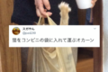 コンビニ袋の中身はお弁当・・・ではなくなんと『猫ちゃん』?!?!お母さんによる猫の運び方が斬新すぎる!!