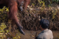 川に入った男性に手を差し伸べる野生のオランウータン!感動的な瞬間をカメラがキャッチ!!
