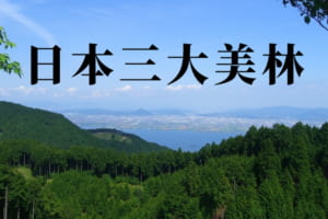 【日本三大美林】美しい林「天然美林」と「人工美林」6カ所をご紹介
