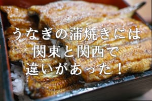 【8月4日は土用の丑の日】「うなぎの蒲焼き」に関東風と関西風があるって知ってた？その違いをご紹介【2回目の丑の日なので『二の丑』です】