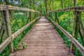「日本三大奇橋」って知ってる?古の匠たちによって築かれた独特な橋たち