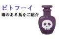 毒を持つ鳥は珍しい！？「ピトフーイ」と呼ばれる毒鳥をご紹介！