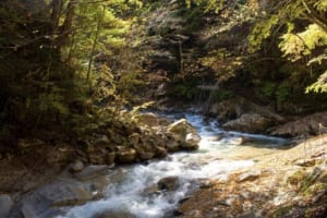観光や登山にどうぞ！素晴らしい景観の「日本三大渓谷」をご紹介！