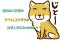 ネットでよく話題に上がるチベットスナギツネって一体何者？なぜ流行った？