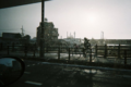味があってステキ!「1日1枚シャッターを切って」と母に写ルンですを渡したら・・・