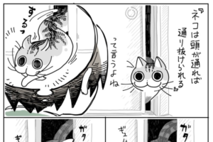 「ネコは頭が通れば通り抜けられる」と言うけど･･ニャンコの面白行動を描いた漫画が話題