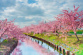 まるで絵画みたい!三重県の桜並木を撮影した写真がめちゃくちゃ美しいと話題に