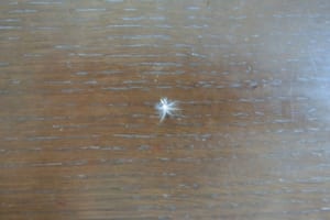 聞いたことあるような気はする「ケセランパセラン」って一体何のこと？幸運の使者？