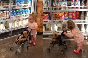 お母さん気分でお買い物ごっこをする少女が可愛らしい！子ども役はワンコ(笑)