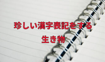 読めたらすごい!珍しい漢字表記をする難読な生き物の名前!